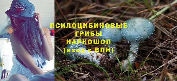 дурь Верея