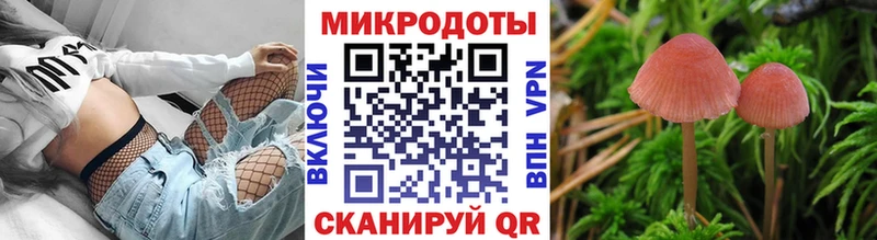 Псилоцибиновые грибы мухоморы  закладки  Буй 